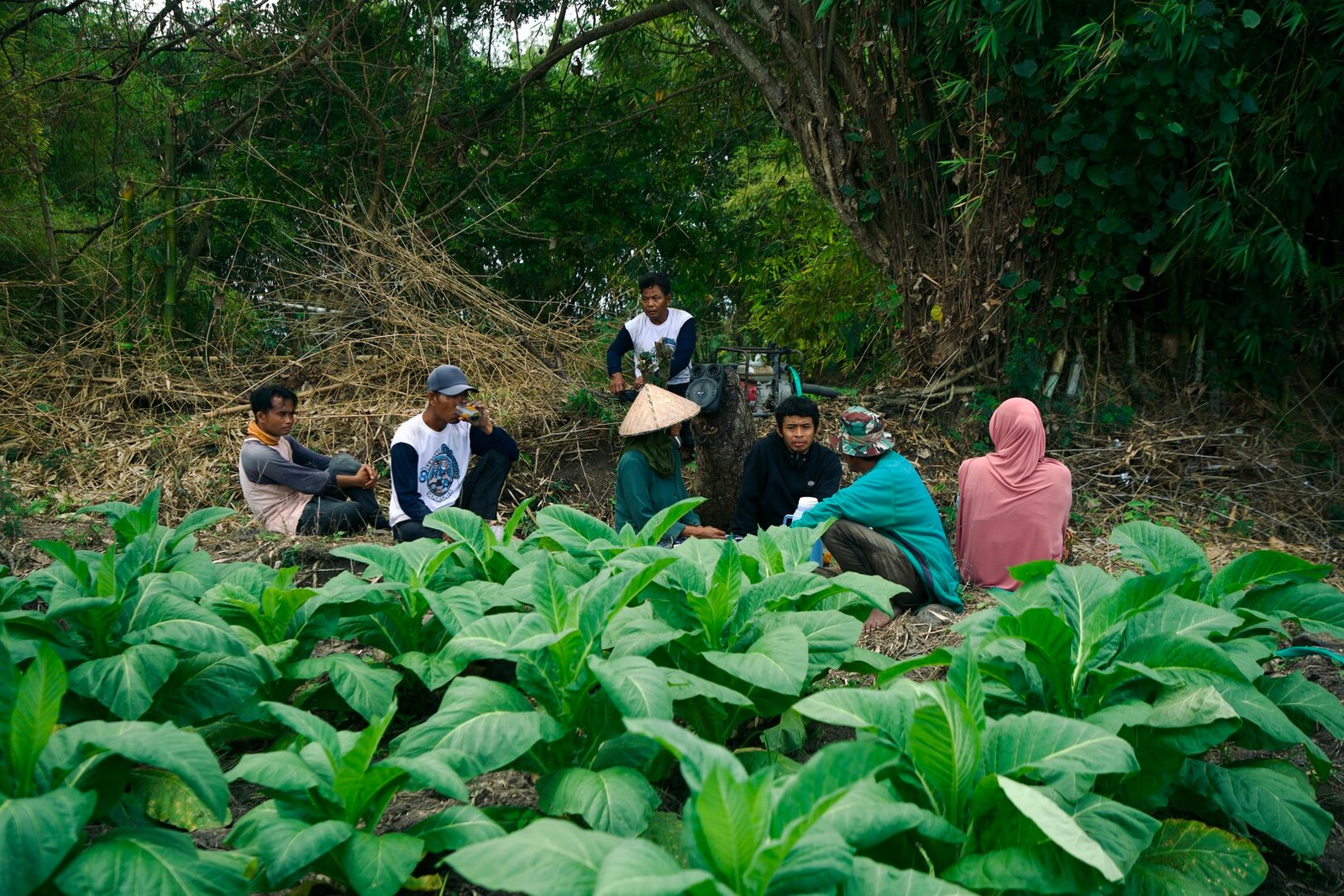 Ramu_Irama_Still_Photo_00001